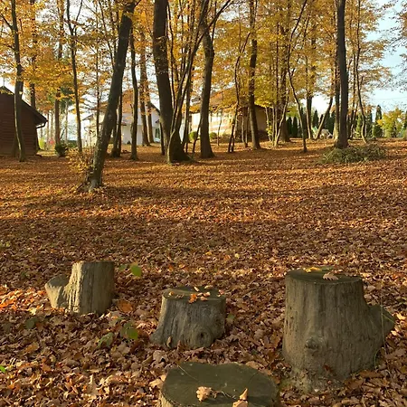 Gagula * 塞拉耶佛